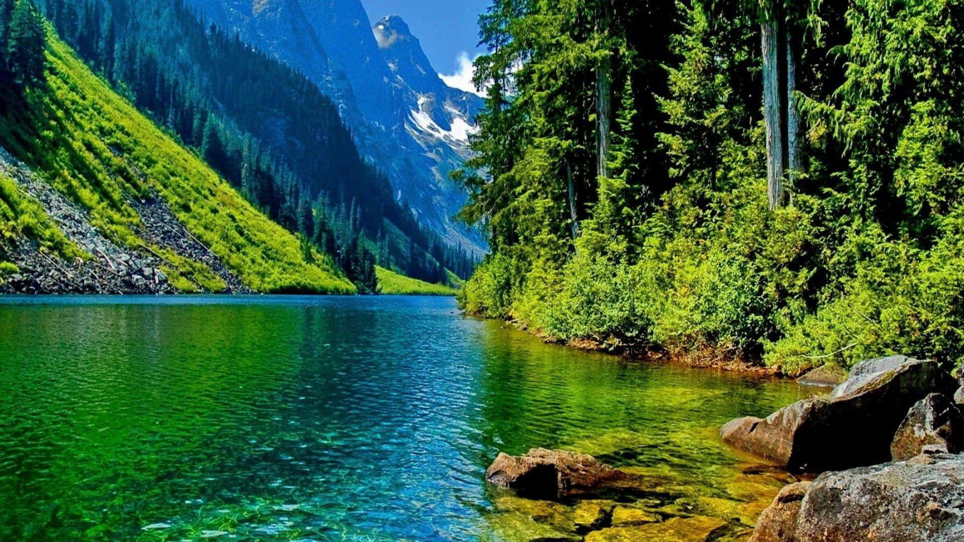 1920-x-1080-nature-desktop-42gt7vueqzx9xbfw