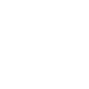 icons8-shopping-bag-100 (1)